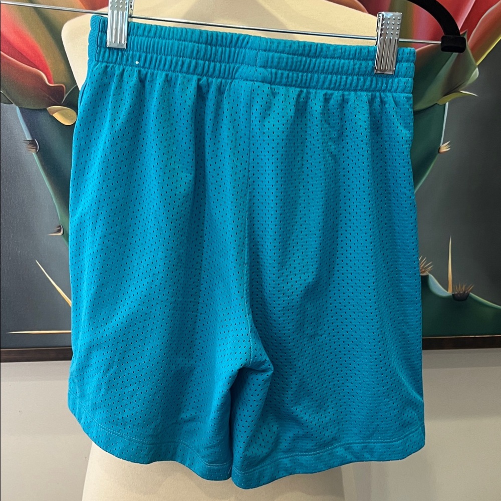 NWOT Nike Big Kids (Boys) Dri-Fit Mesh Shorts - Picture 2 of 4